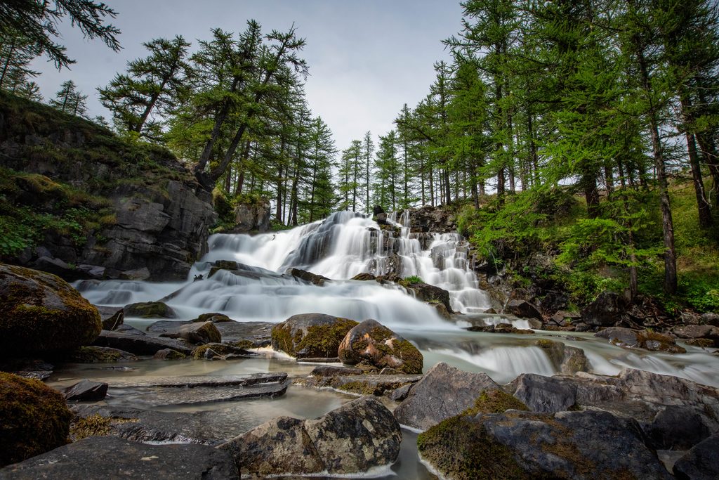 Cascade en forêt de montagne
