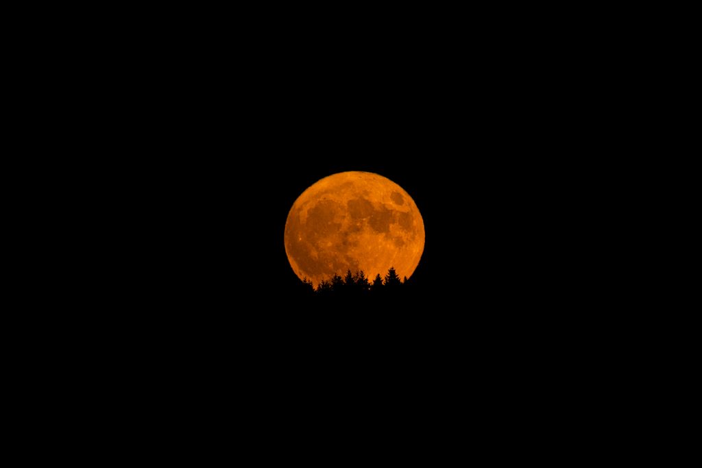 Pleine lune orangée se levant derrière une forêt