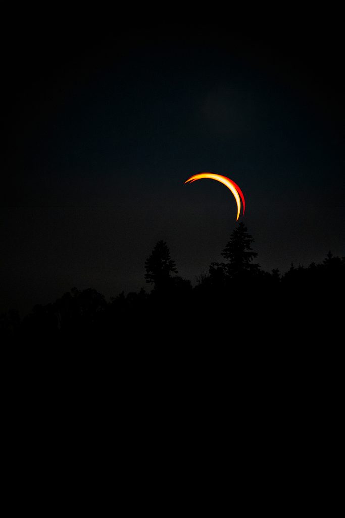 Éclipse solaire au-dessus d’une forêt en silhouette