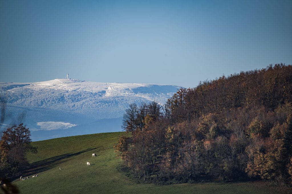 Montagne enneigée dominant une vallée et des pâturages
