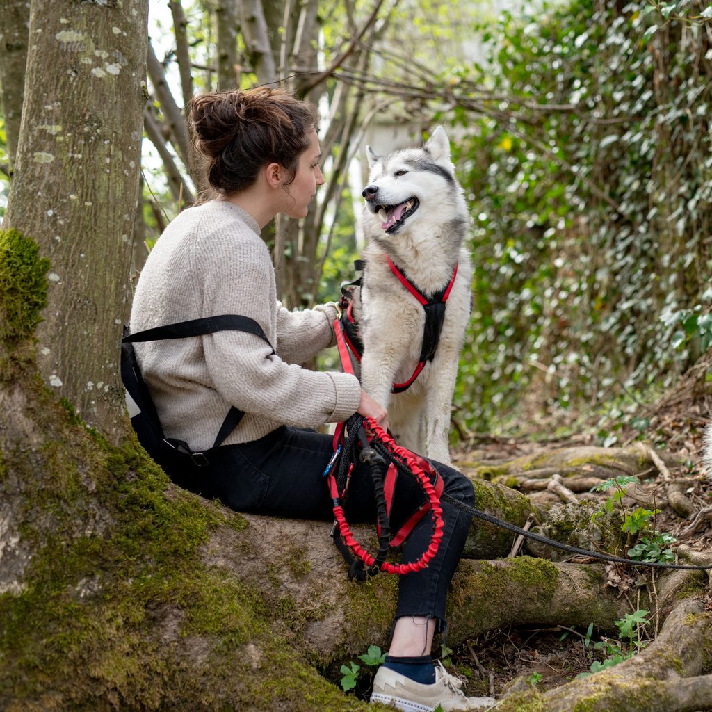 Jeune femme assise avec son husky dans les bois